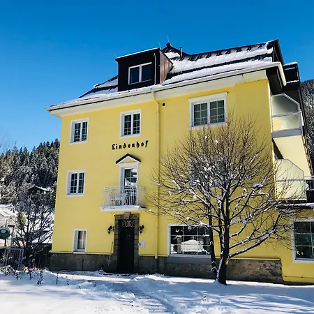 Hotel Lindenhof 3*