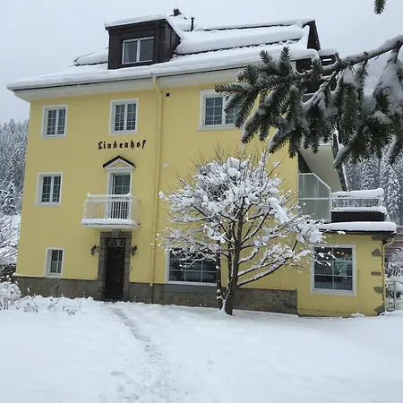 Hotel Lindenhof 3*