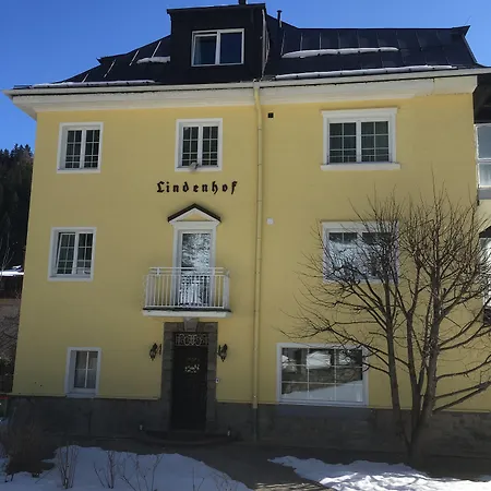 Lindenhof فندق