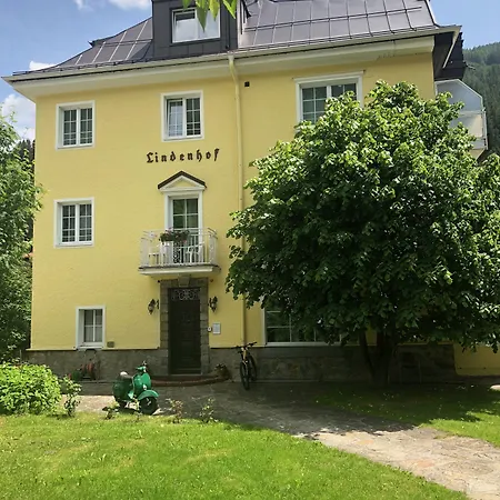 ホテル Lindenhof 3*